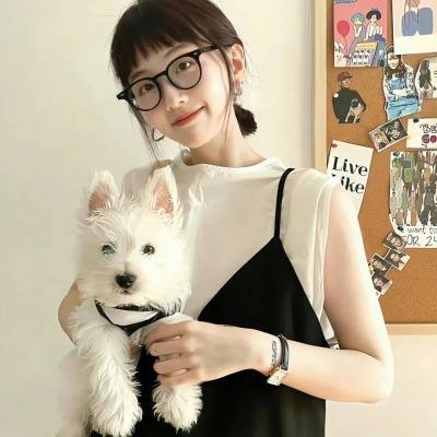 国家宝藏:夺宝秘笈